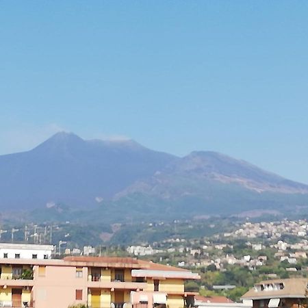 جاري B&B Mistral Di Lizzio Salvatore المظهر الخارجي الصورة